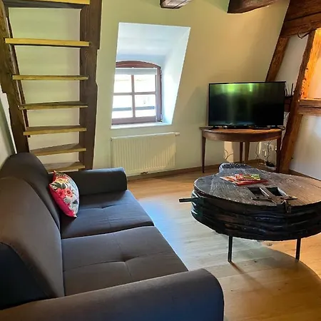 Domaine La Cour Des Nobles - Demeure, Maison Et Au Coeur De Riquewihr