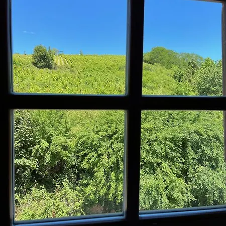 Domaine La Cour Des Nobles - Demeure, Maison Et Au Coeur De *