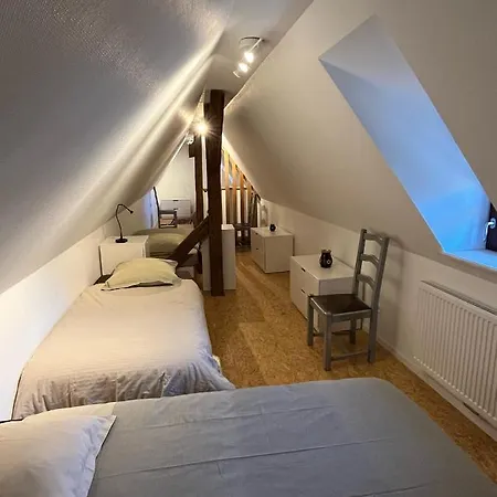 Domaine La Cour Des Nobles - Demeure, Maison Et Au Coeur De * Riquewihr