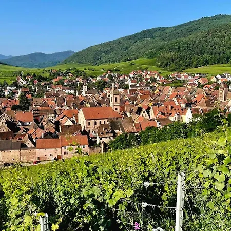 Apartament Domaine La Cour Des Nobles - Demeure, Maison Et Au Coeur De *