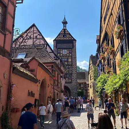 Domaine La Cour Des Nobles - Demeure, Maison Et Au Coeur De Apartament