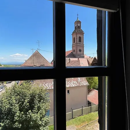 Domaine La Cour Des Nobles - Demeure, Maison Et Au Coeur De Riquewihr